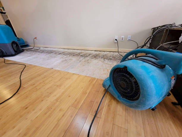 Professional Flood Damage Cleanup technician working in Jemez Pueblo, NM